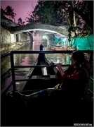 _DSF9629 (Copy)